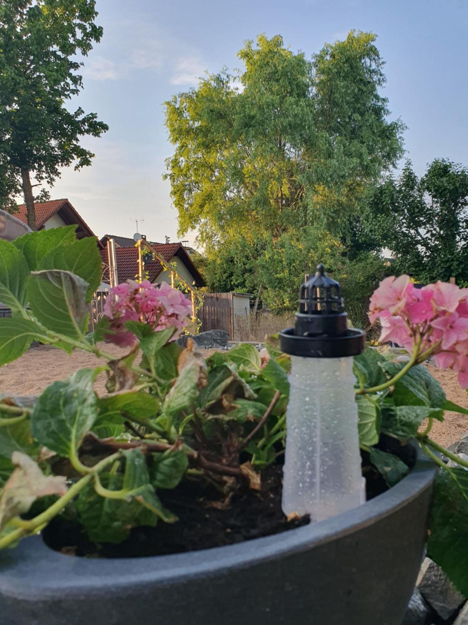 Casa Vogelsberg Apartman Schotten  Kültér fotó