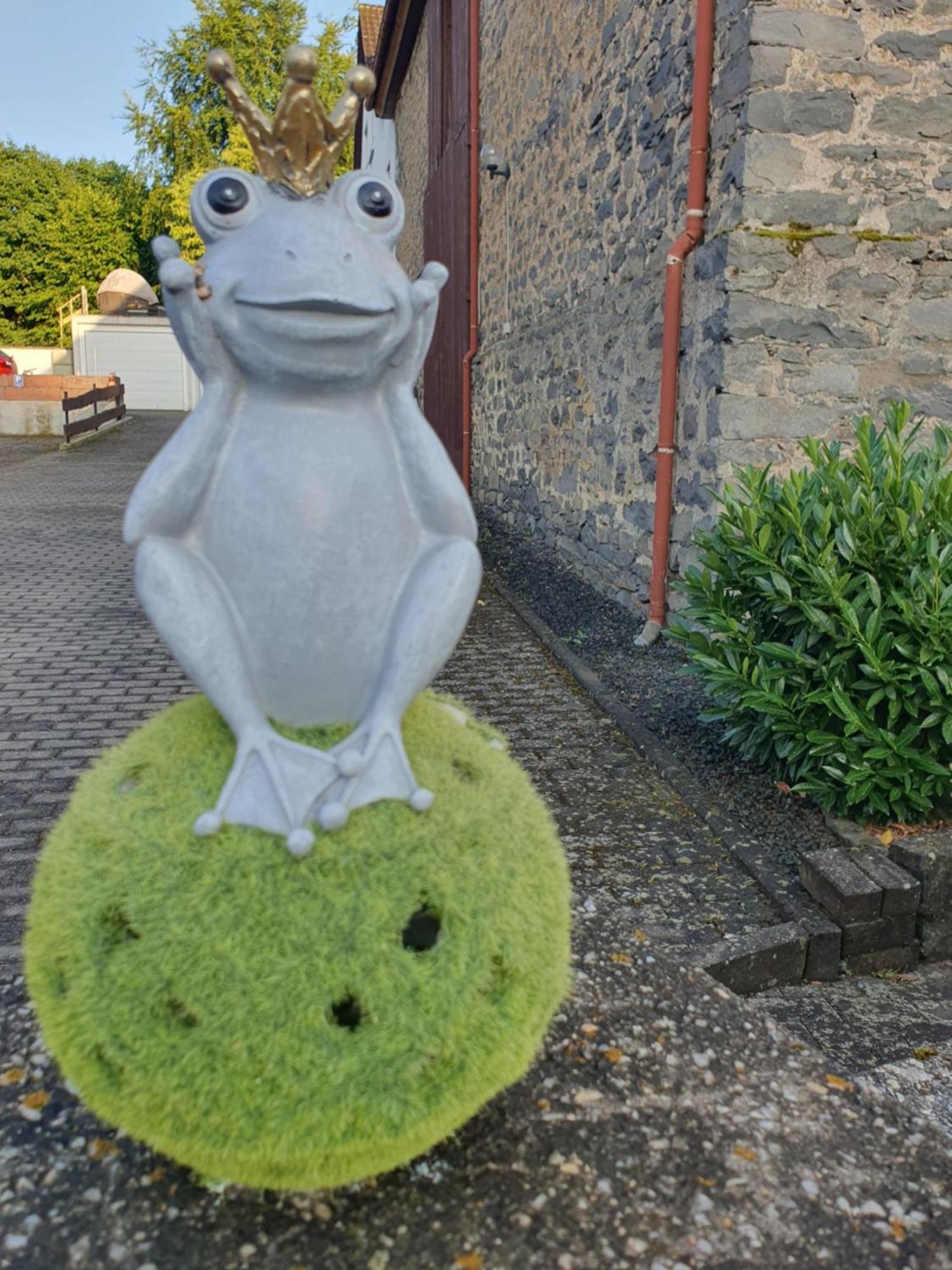 Casa Vogelsberg Apartman Schotten  Kültér fotó
