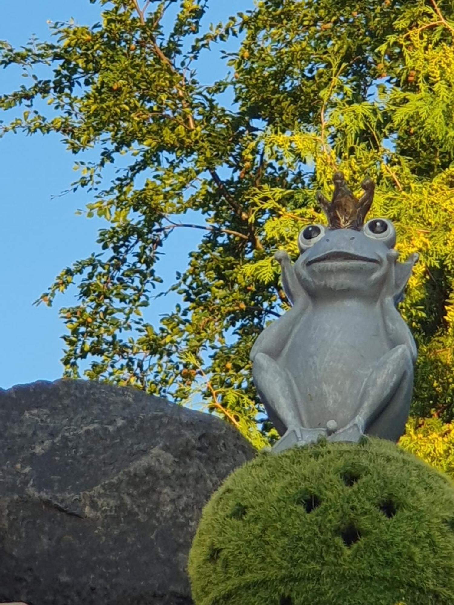Casa Vogelsberg Apartman Schotten  Kültér fotó